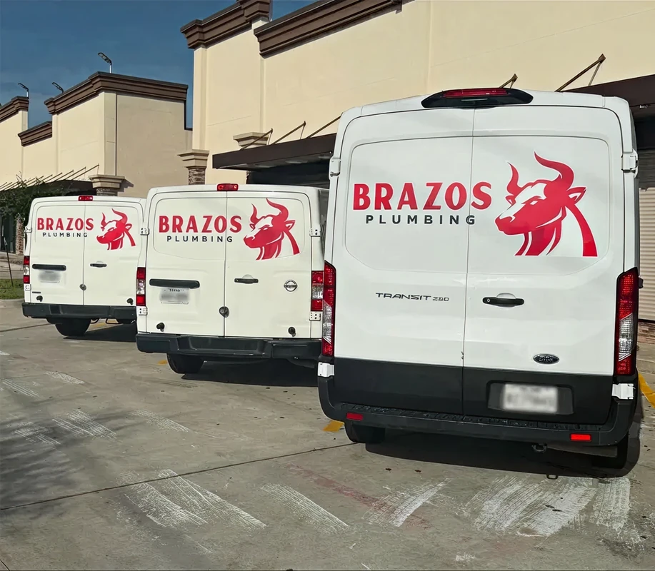 Company Vans